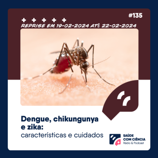 Dengue, Chikungunya e Zika: Características e Cuidados (Reprise)