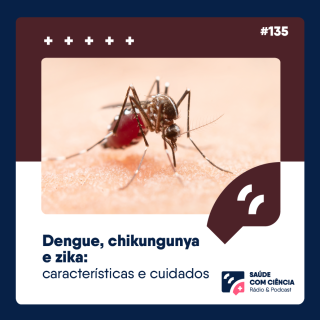 Dengue, Chikungunya e Zika: Características e Cuidados